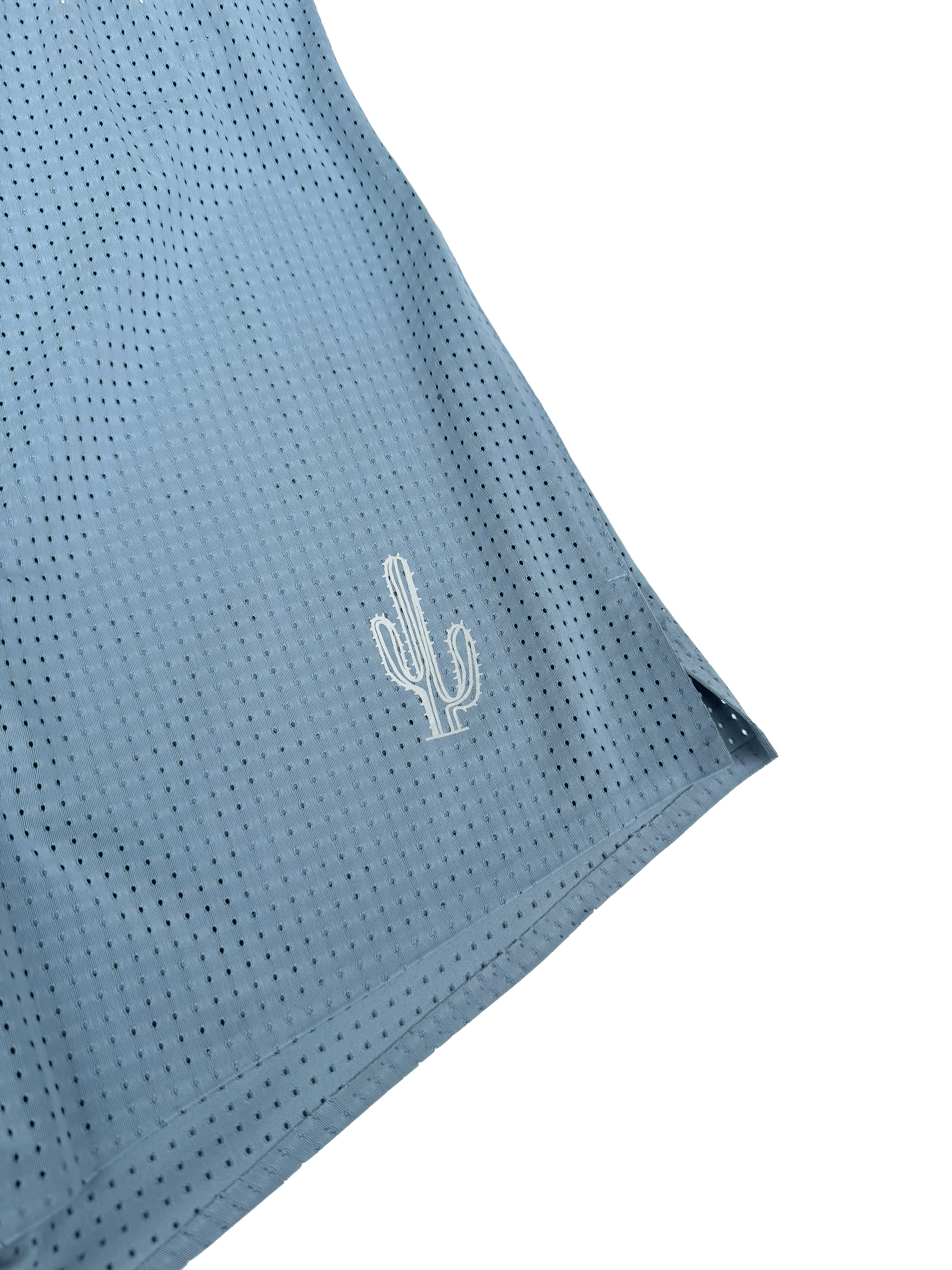 Scoria Ridge Shorts - Pale Mirage